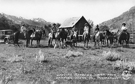 leavitt meadows pack train